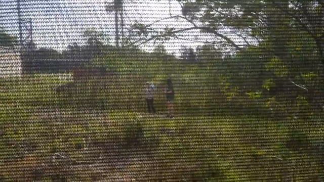 urban explorer#funny #explore смотреть онлайн