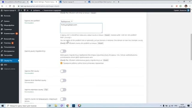 Как удалить и что такое dns-prefetch в Wordpress смотреть онлайн