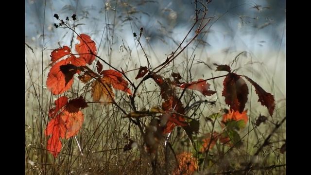 Хандра. Стихи: А Кушнер, исп.: Т.Рехельс смотреть онлайн