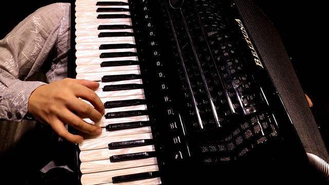 Señorita - Shawn Mendes, Camila Cabello | Accordion Cover by Stefan Bauer смотреть онлайн