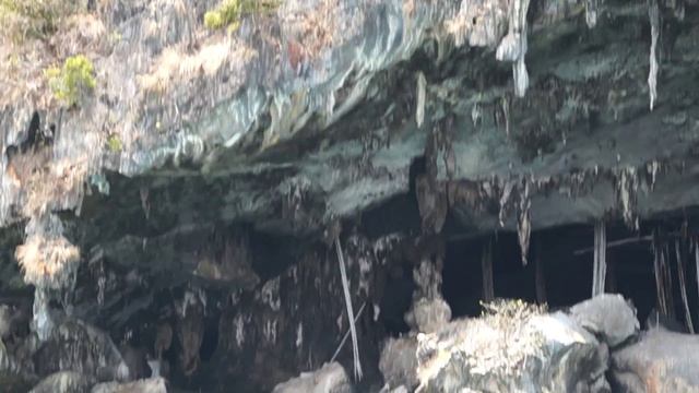 Таиланд Пхукет Ласточкины гнезда очень дорогой деликатес в мире