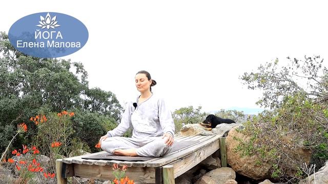 ЙОГА УТРОМ - ДЫХАТЕЛЬНЫЕ ПРАКТИКИ, РАЗМИНКА _ ЕЛЕНА МАЛОВА смотреть онлайн