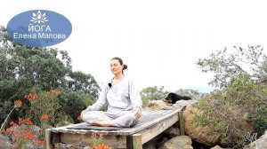 ЙОГА УТРОМ - ДЫХАТЕЛЬНЫЕ ПРАКТИКИ, РАЗМИНКА _ ЕЛЕНА МАЛОВА