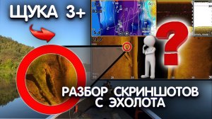 Разбор скриншотов с ЭХОЛОТА Lowrance HDS Live. Как выглядит рыба в эхолоте? Часть 2