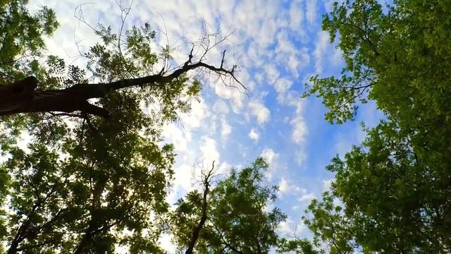 МЕДИТАЦИЯ 432 Hz НЕБО РЕЛАКС музыка для души похудение звук мотивация Meditation Sound sea Relax смотреть онлайн