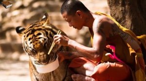 Монахи Шаолинь НЕВЕРОЯТНЫЕ сверхспособности!