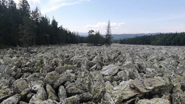 ТАГАНАЙ   - инструкция по применению