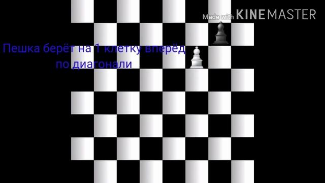 Урок шахмат для начинающих. 1 урок. Как ходит пешка #шахматыдляначинающих смотреть онлайн