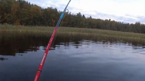 Обзор воблера  Jackall Mag Squad 115SP