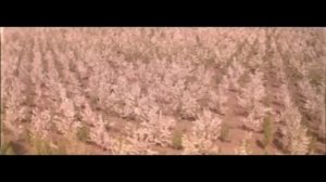 Валерий Ободзинский "Как жил бы я на свете.."