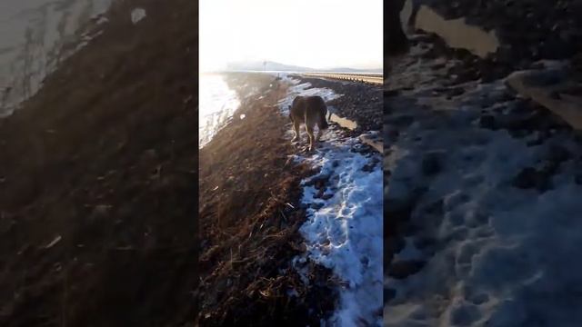 Разница между Городам и КШТ большая по загозованности смотреть онлайн