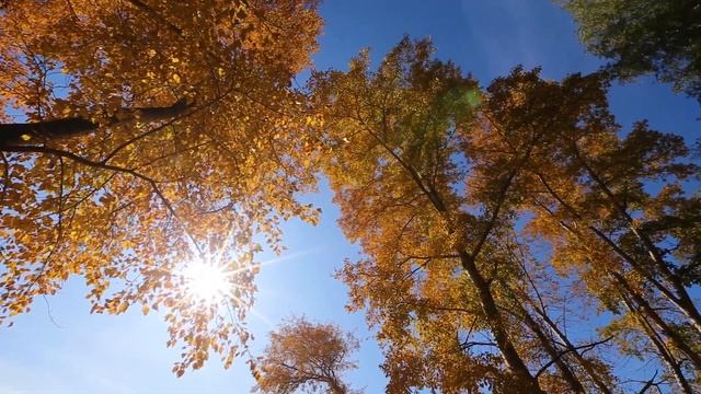 Рассвет на Каме, Пермь, Закамск. смотреть онлайн