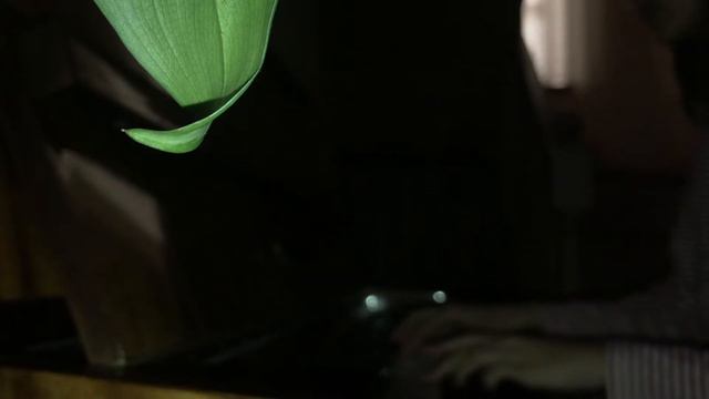 Cover Снова вечер, для нежных душ. смотреть онлайн