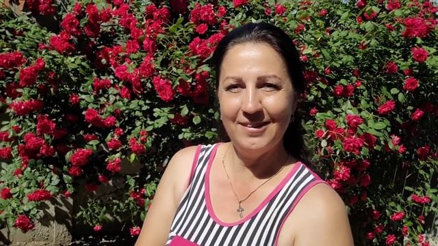 Прелестное Соседство...Удобряю Розы.. смотреть онлайн
