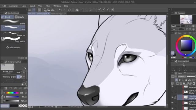 She blooms || TIMELAPSE Tokota Design || Clip Studio Paint смотреть онлайн