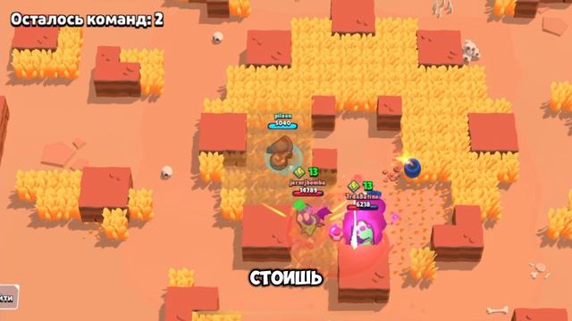 Бм Динамайка: