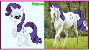 Персонажи Май Литл Пони в Реальной Жизни! My Little Pony!