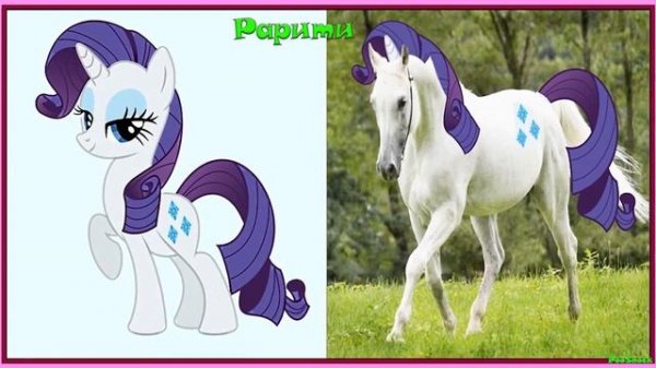 Персонажи Май Литл Пони в Реальной Жизни! My Little Pony!