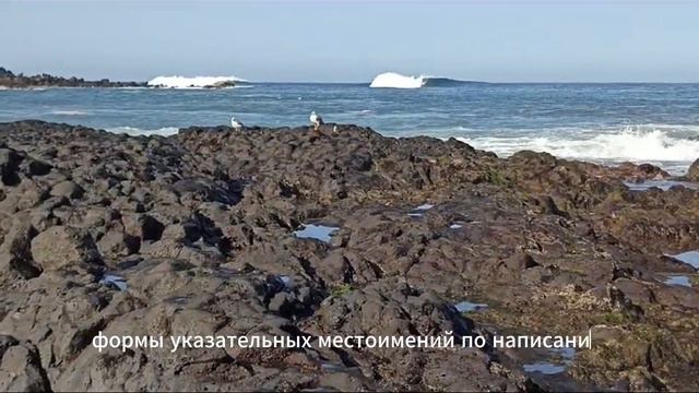 Грамматика испанского языка. Указательные прилагательные и указательные местоимения смотреть онлайн