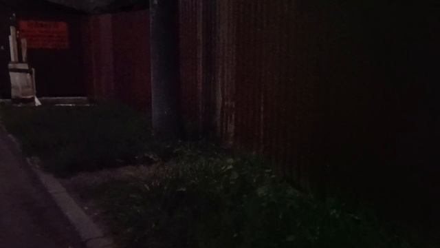 Нашел сгоревший,заброшенный дом!