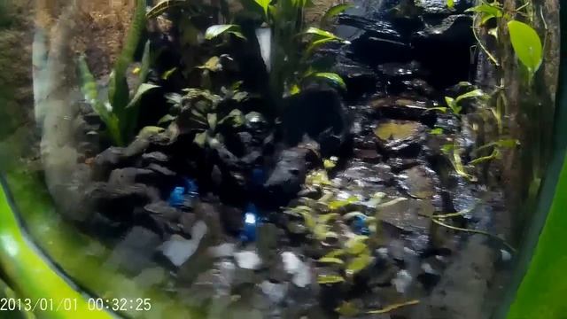 The Deep - Aquarium in Hull - Places to visit England смотреть онлайн