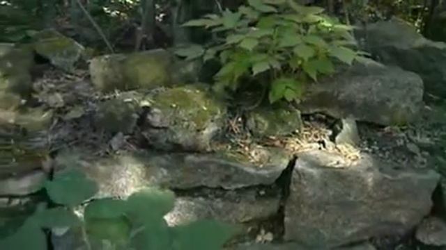 Бизнес по Исламу смотреть онлайн