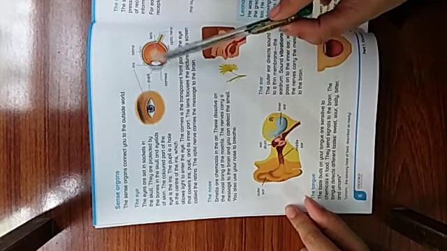 Class 5th_Science_Unit 1 (Part 4) смотреть онлайн
