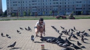 ПОЙМАЙ ГОЛУБЯ или СТАНЬ ГОЛУБЕМ | КАК ПОЙМАТЬ ПТИЦУ