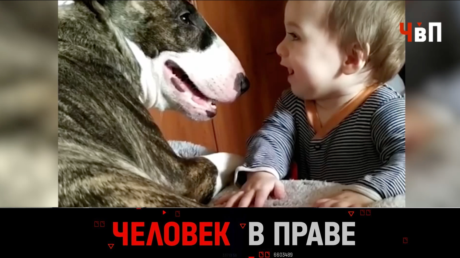 Человек в праве с Андреем Куницыным. Выпуск от 11 февраля 2024 года