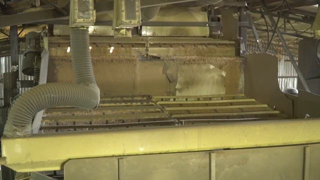 Щадящая пофракционная технология подготовки сильных семян сельскохозяйственных культур смотреть онлайн