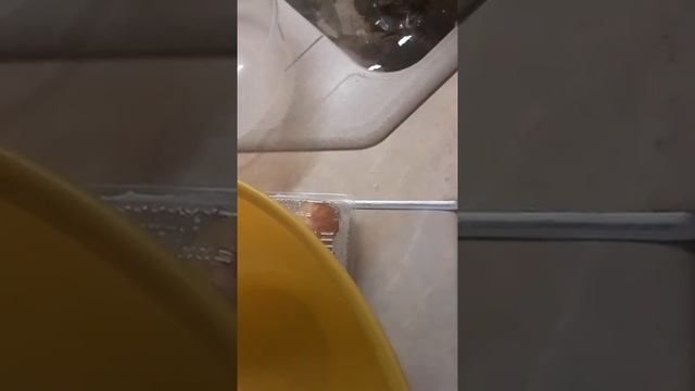 ЖИВЫЕ РАКИ!!!!!!! смотреть онлайн