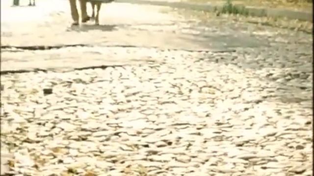 Булат Окуджава. Часовые любви (Покровские ворота). смотреть онлайн