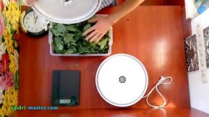 Сушим листья смородины