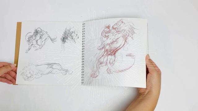 Claire Wendling - Desk - ArtBook Showcase