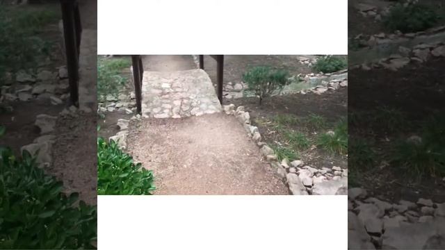 Обзор санатория «СЛАВУТИЧ» 3 корпус. Магнолия. Крым, г. Алушта смотреть онлайн