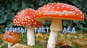 #Грибы - Тает Лёд (минус - SMI production)