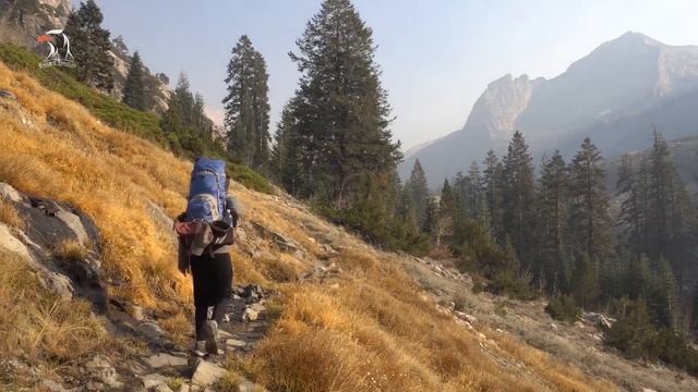 Top 10 Things To Do In Sequoia National Park, California смотреть онлайн