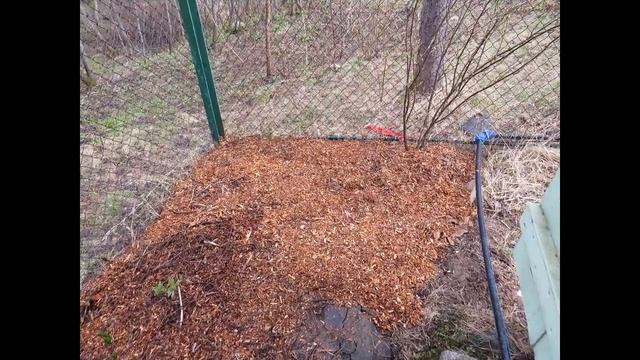 Мульчирование и как использовать картон в огороде