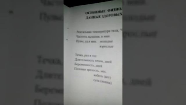 Наш ветеринарный паспорт. смотреть онлайн