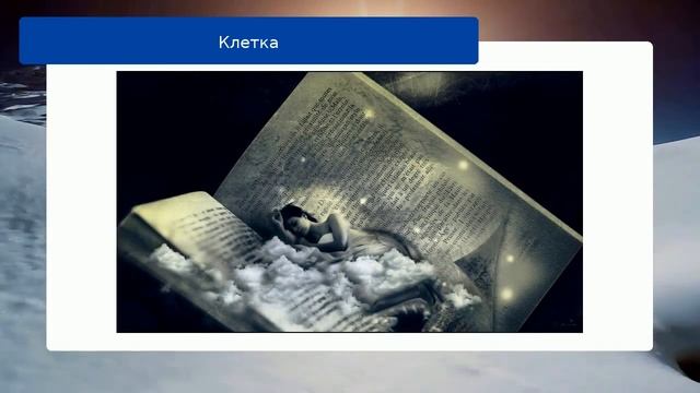 Клетка смотреть онлайн