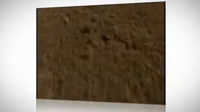 Aloe Vera Gel And Juice From US Farms Inc смотреть онлайн