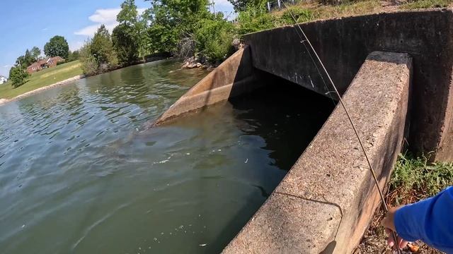 Bank Fishing For Whatever Bites смотреть онлайн