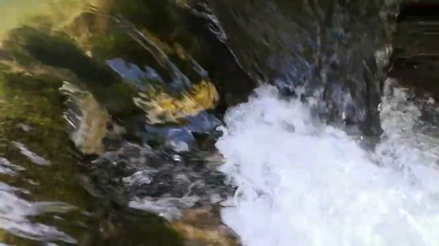 Чаепитие на реке Курджипс смотреть онлайн