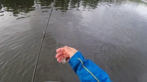 Как ловить язя? Новая тактика ловли спиннингом! Наловили бочку язей!