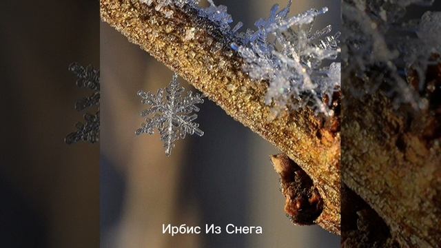 северное сияние (музыка для души) смотреть онлайн