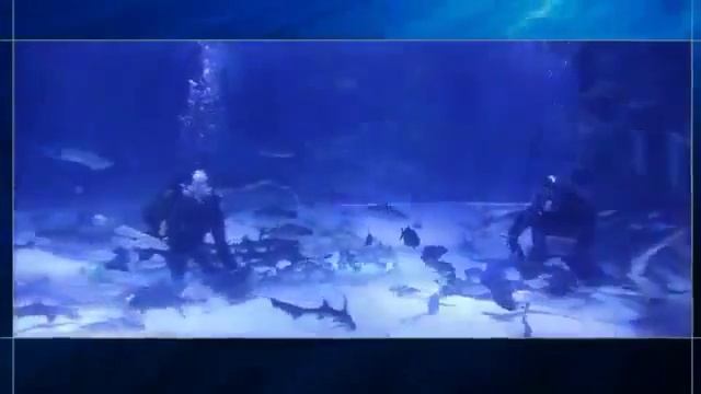 Аквариум Анталия, Турция Antalya Akvaryum Antalya Aquarium Tünel Akvaryum смотреть онлайн