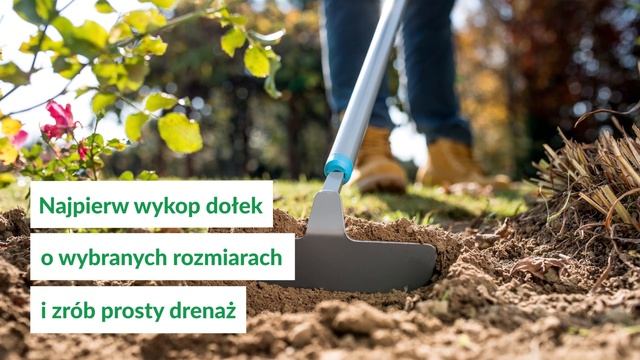 Jak założyć kompostownik? Skuteczne porady! смотреть онлайн
