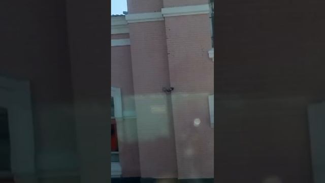 Подъезжаем к железнодорожной станции Котельниково Approaching the Kotelnikovo railway station 接近科捷尔 смотреть онлайн