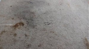 Какое средство использовать для моющего пылесоса