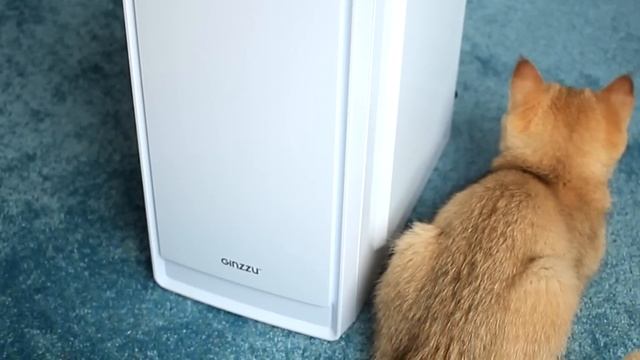 #НДБ Ep.3 / Собрал ИГРОВОЙ ПК из МУСОРА!